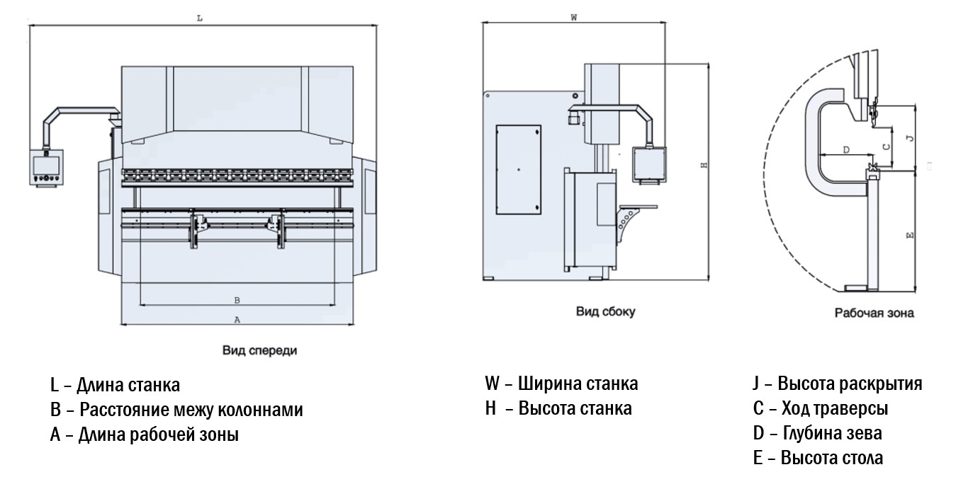 CХума листогиба