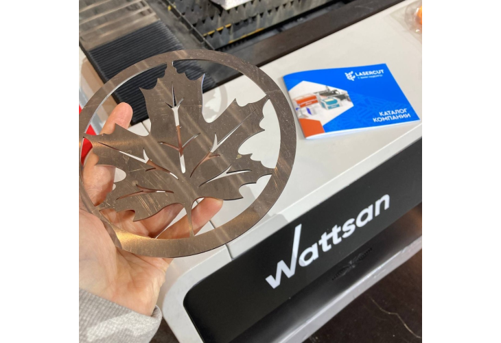 Превью 8 к Лазерный станок по металлу WATTSAN 1530S TABLECHANGE ROTATOTY CABINE 5000 Вт Raycus