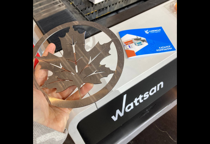 Превью 12 к Лазерный станок по металлу Wattsan 1530E